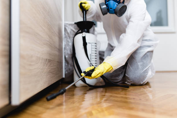 Best Cockroach Control Services  in Edgerton, MN