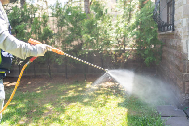 Best Pest Control for Restaurants  in Edgerton, MN