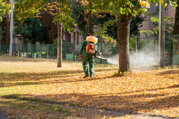 Best Wildlife Control Services  in Edgerton, MN