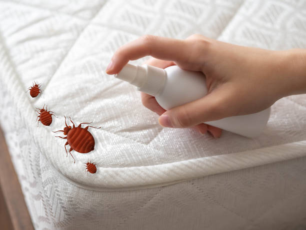 Best Residential Pest Control  in Edgerton, MN