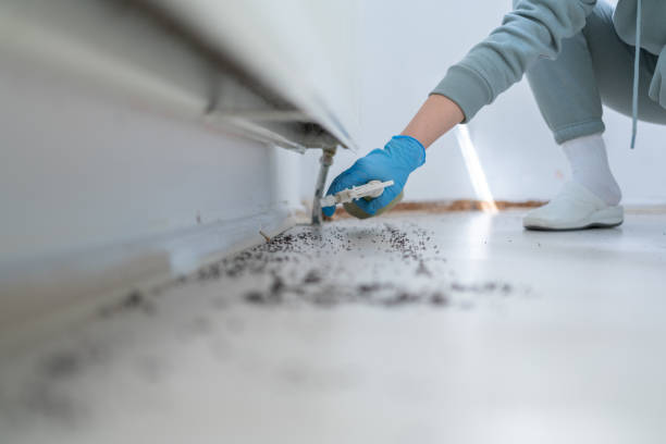Best Pest Removal Services  in Edgerton, MN